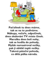 /album/pribehy-mysaka/pribehy-mysaka-535-png/